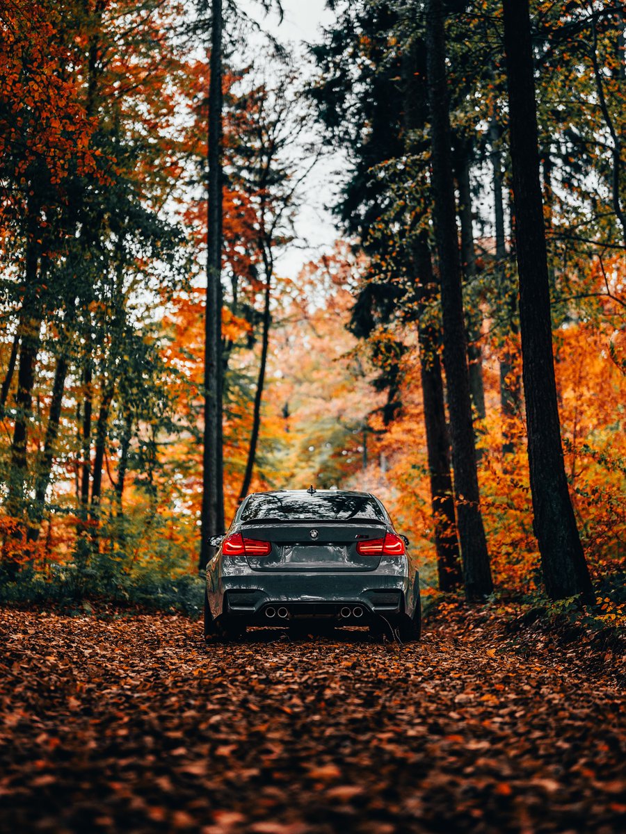 Dreams2Wonders's tweet photo. BMW M3 #M3competition #M3cs https://t.co/aKP7Q07JDz
