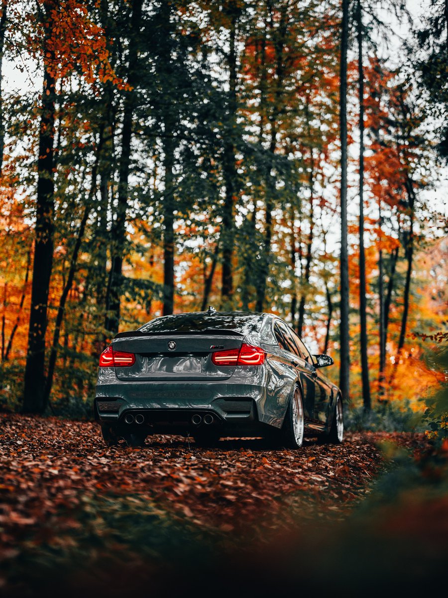 Dreams2Wonders's tweet photo. BMW M3 #M3competition #M3cs https://t.co/aKP7Q07JDz