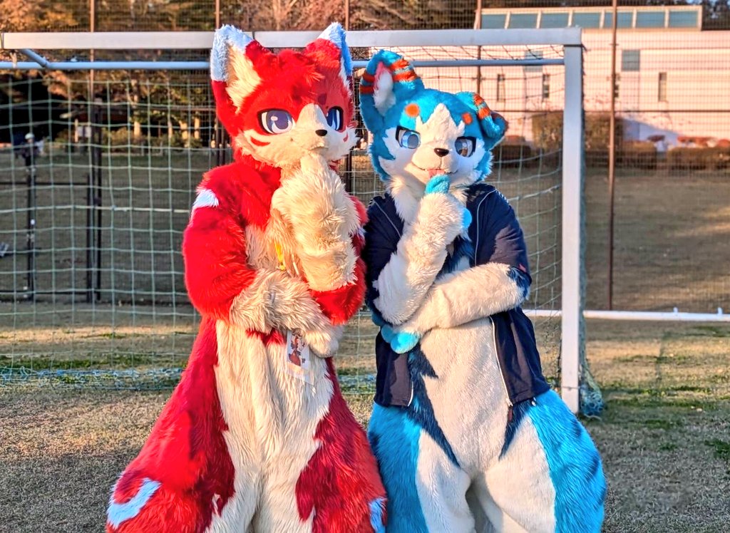 チディくん1歳とのことで昨年のみその会で撮らせていただいたやつ( ・ε・)
また会いたい(•ө•)♡