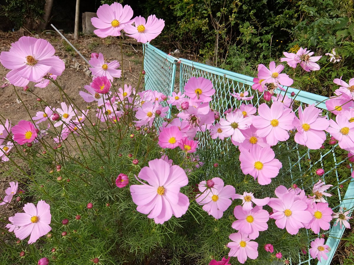 かずまる かずまる024 on X