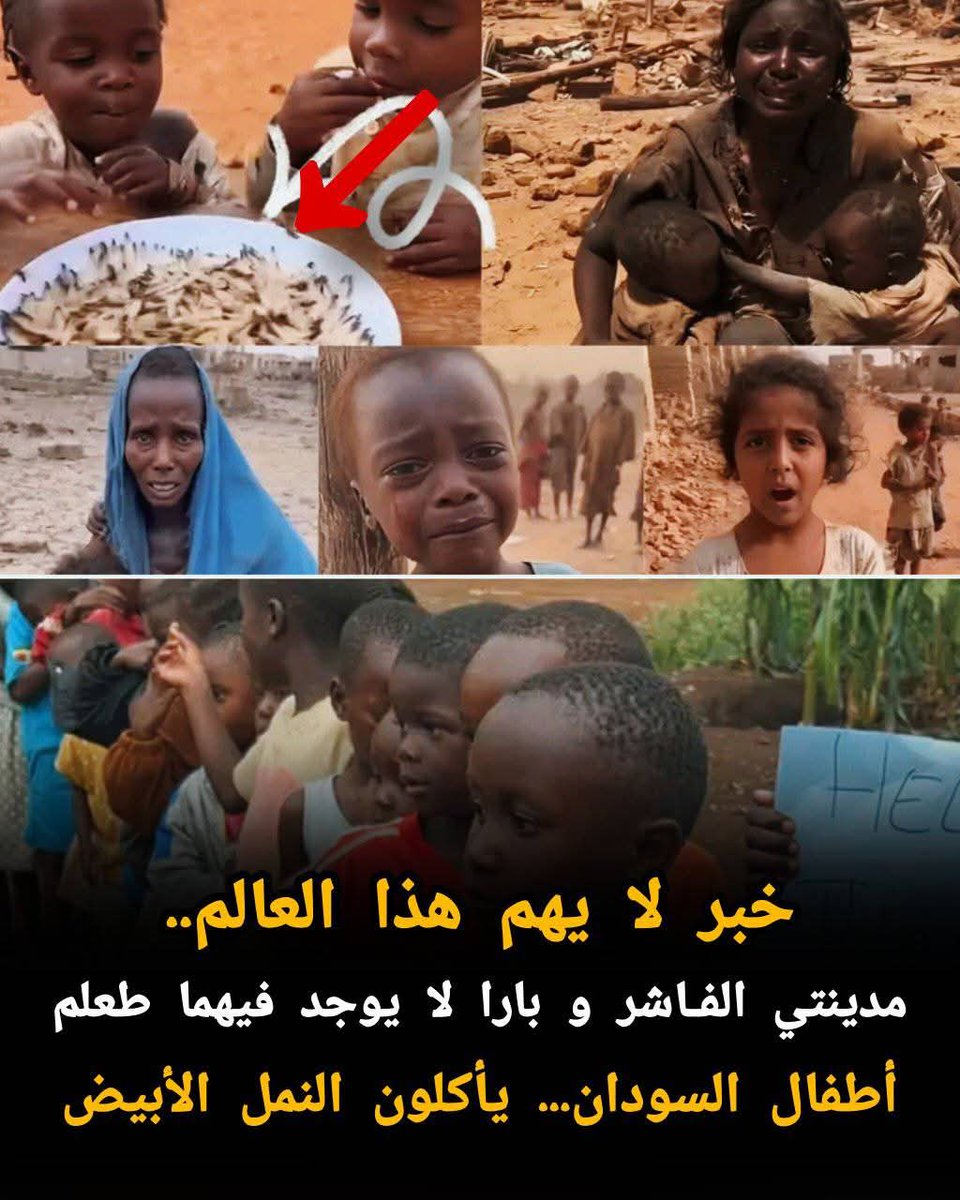 bouchraSahrane's tweet photo. أطفال السودان... يأكلون النمل الأبيض من شدة الجوع ...
صرخة إنسانية تهزّ الضمير... أين أنتم.؟
لا تتركوا الطفولة تموت بصمت.

أطفال السودان يُنادون العالم...
بَلغ بهم الجوع حدًّا جعلهم يأكلون النمل الأبيض.💔

تحدثوا عن اخوانكم في السودان √√
#السودان  #الفاشز_ينزف #Sudan https://t.co/VGEhtWX1IF