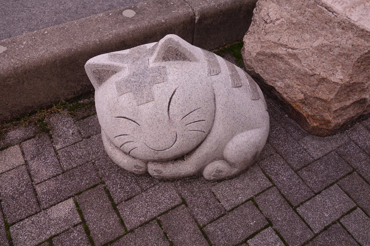 きったん。 on X