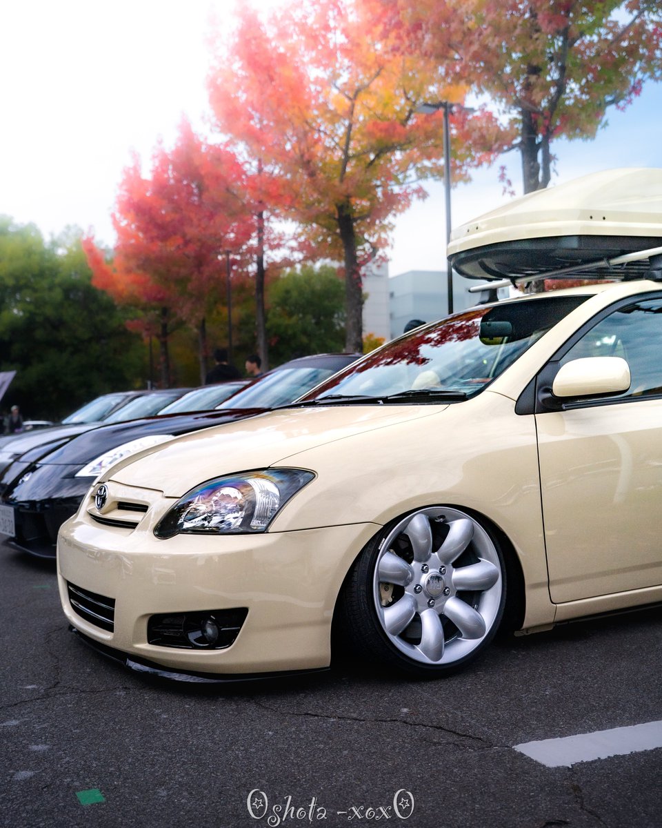 きなこ (@runxta3) / Posts / X