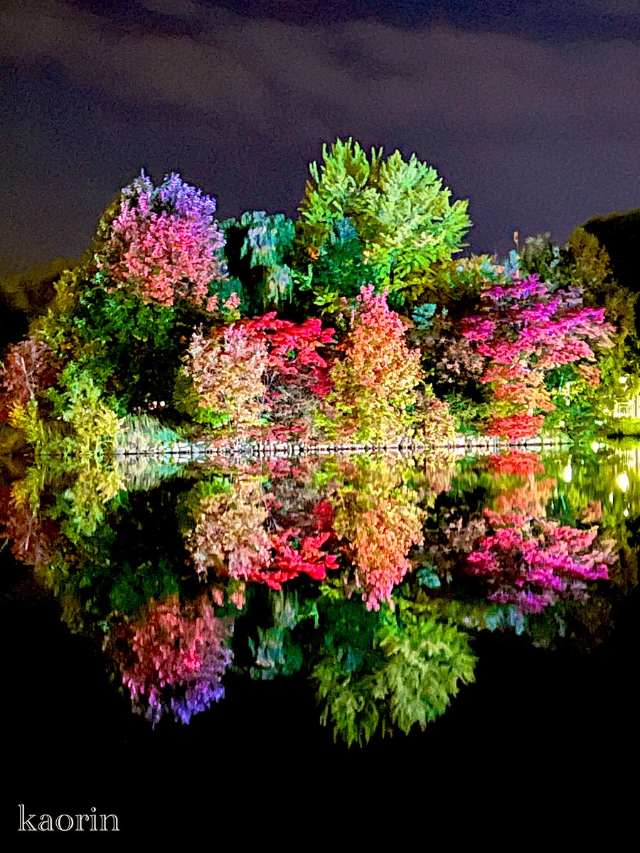 中島公園の菖蒲池が
水面鏡になっている
風景です𖤐  ˚ ₊ ‧  ✮

神秘的でした⋆  ๋𓂃✦༢