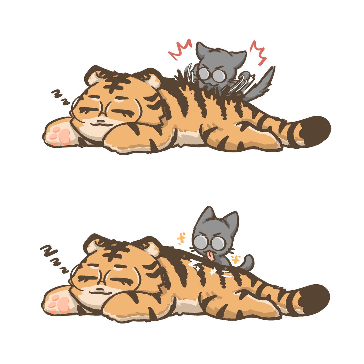 CattyCat_510's tweet photo. 🐯🐈‍⬛ https://t.co/Bg6Ivc5v4T
