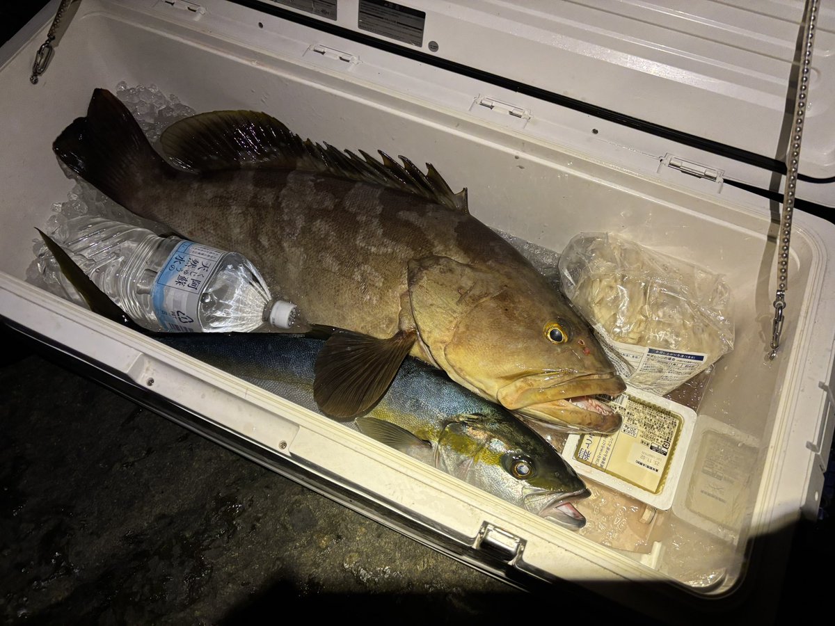 こうちゃん (@81KENZO31) / Posts / X