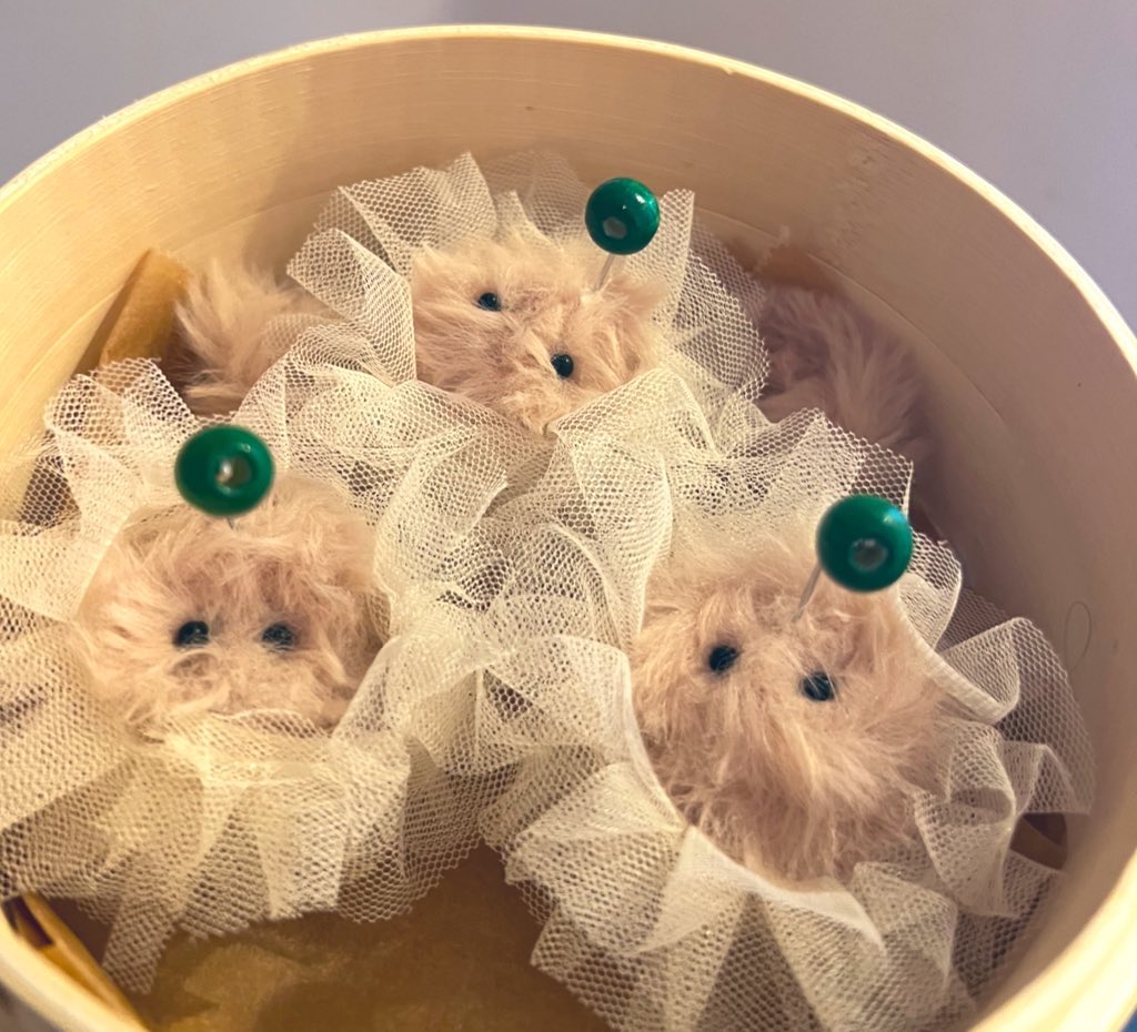 多摩美の芸祭で、焼売の妖精を迎えて下さった
皆様ありがとうございました！！！！

初めての立体制作でした。
老後にカフェとぬいぐるみ作家をと
思っておりましたが、今から動き出します。
何より友達達の素敵な作品をお迎えできて
本当に嬉しかったな。大切にします☺️