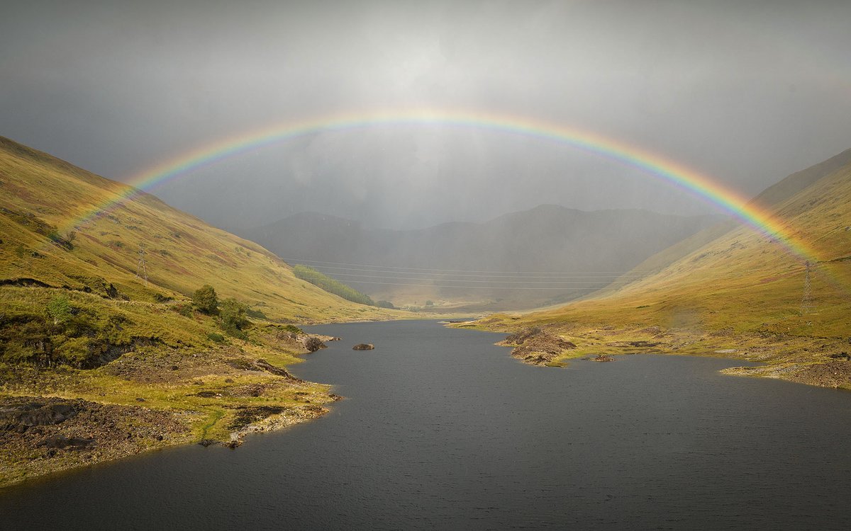 MaureenPlatts's tweet image. 