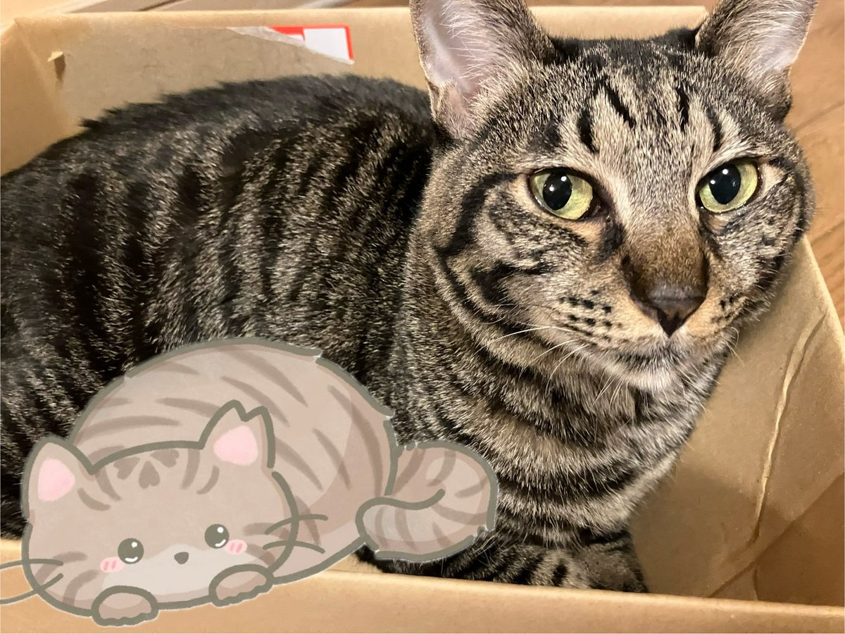 さくらにゃん🌸🐾【地域猫のキャラ】🎐 on X