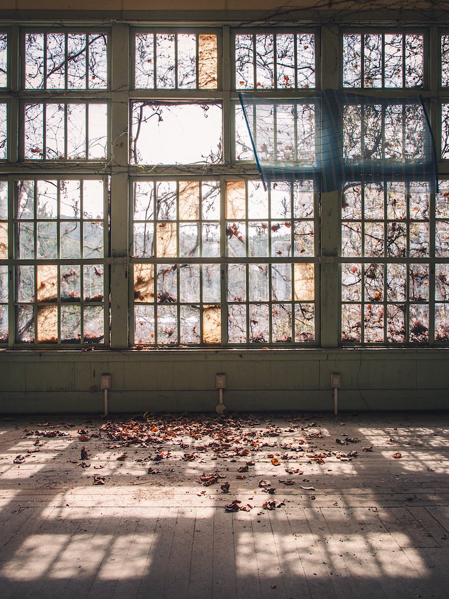 moa.☞断捨離中 断捨離中 断捨離中 断捨離中 です 我が家のZXレストアがほぼ完成