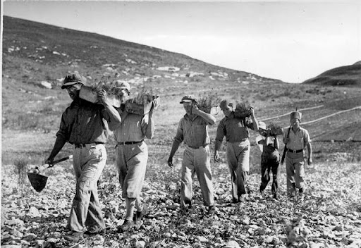 The Israeli–"Palestinian" conflict is unlike any other conflict the world has ever known.
It cannot be solved through negotiations or by compromising on land.

Why?
Because it has never been about land.
The more land Israel gave, the more violent the other side became. 

The