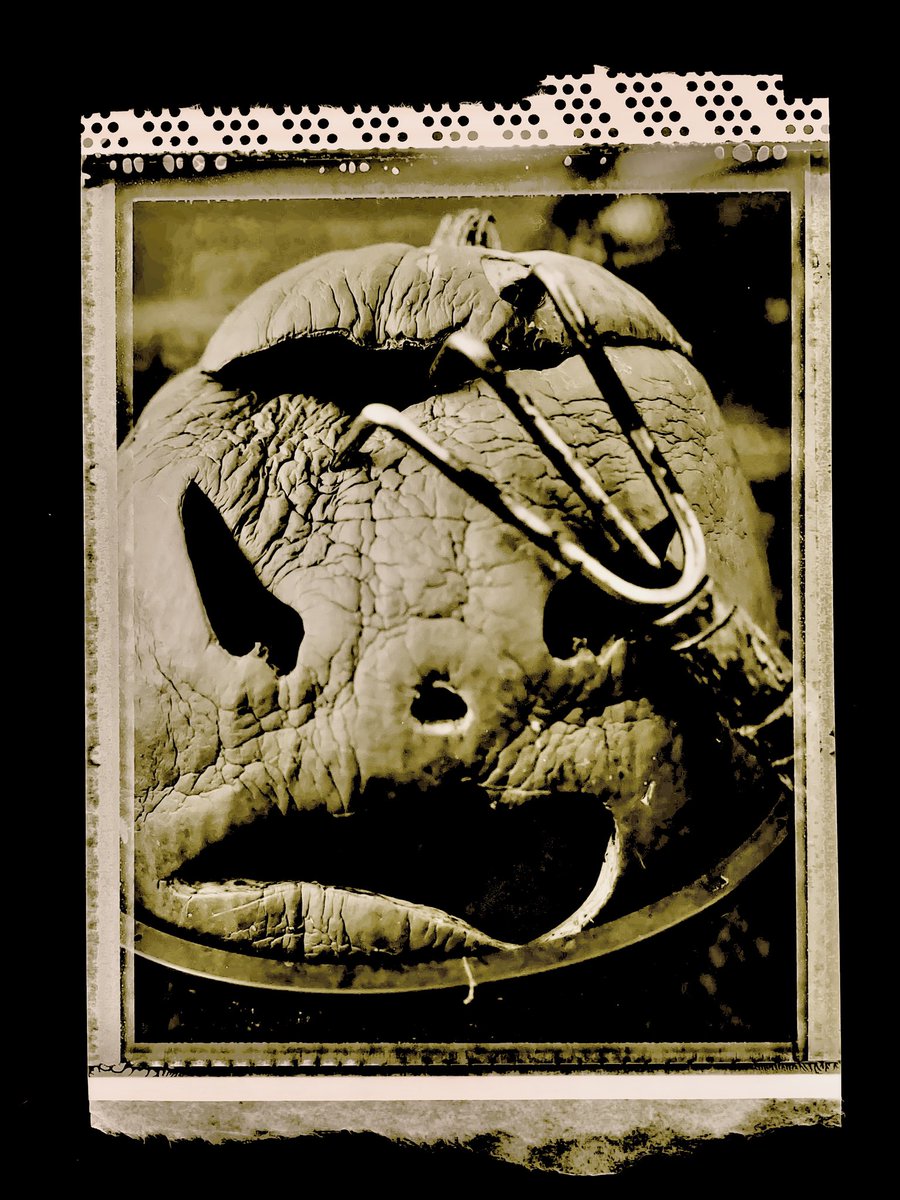 Shot this a couple of days after Halloween, 1994. Polaroid 55. Chapel Hill, NC.
<a href="/chrissteinplays/">Cʜʀɪs Sᴛᴇɪɴ</a> thought you might dig this