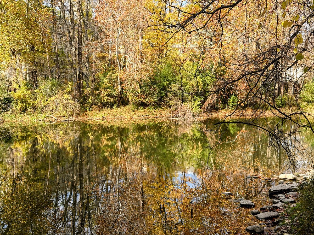 carmilevy's tweet image. Under a busy bridge that connects both sides of the university’s campus, a quiet spot overlooks the lazy river.

Two realities play out, unaware, within metres of each other. I wonder what would happen if more of us took the time to change where we stand.

#ldnont #reflective