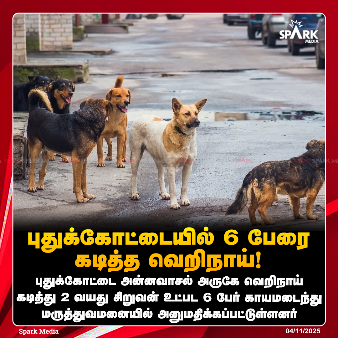 SparkMedia_TN's tweet image. புதுக்கோட்டையில் 6 பேரை கடித்த வெறிநாய்!

#Pudhukottai #Dogbite #SparkMedia