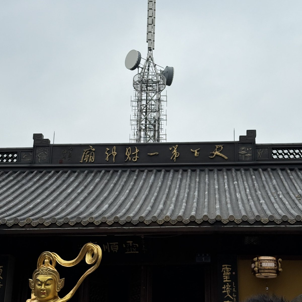 币毒 tweet media
