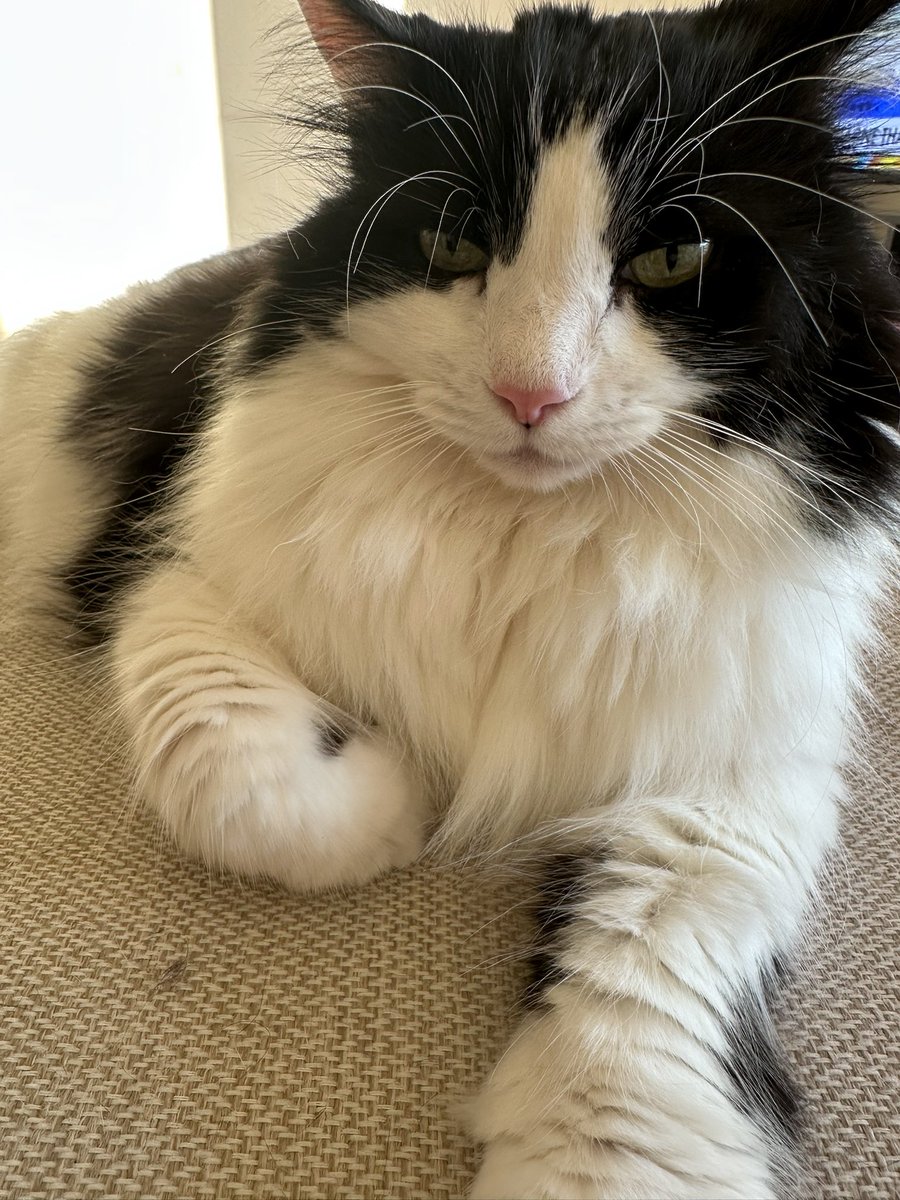 Adam Wayne (@adamwayne11) on Twitter photo 