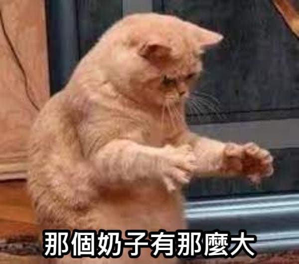 八八 (原63kg) tweet media