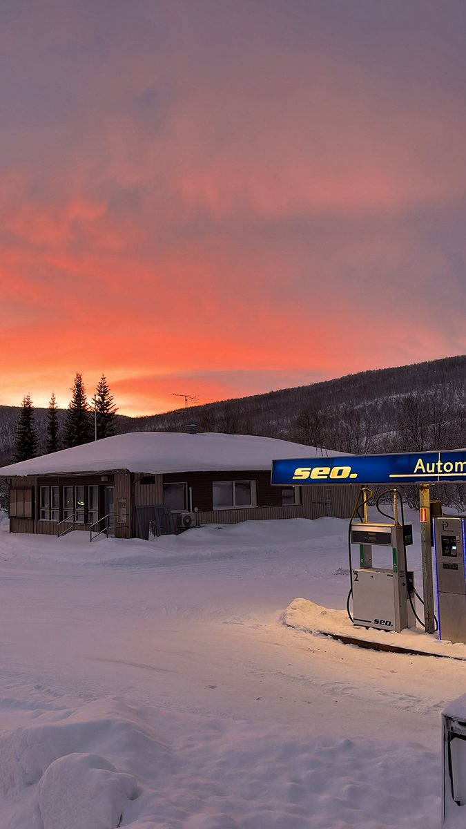 nina 🌞 tweet media