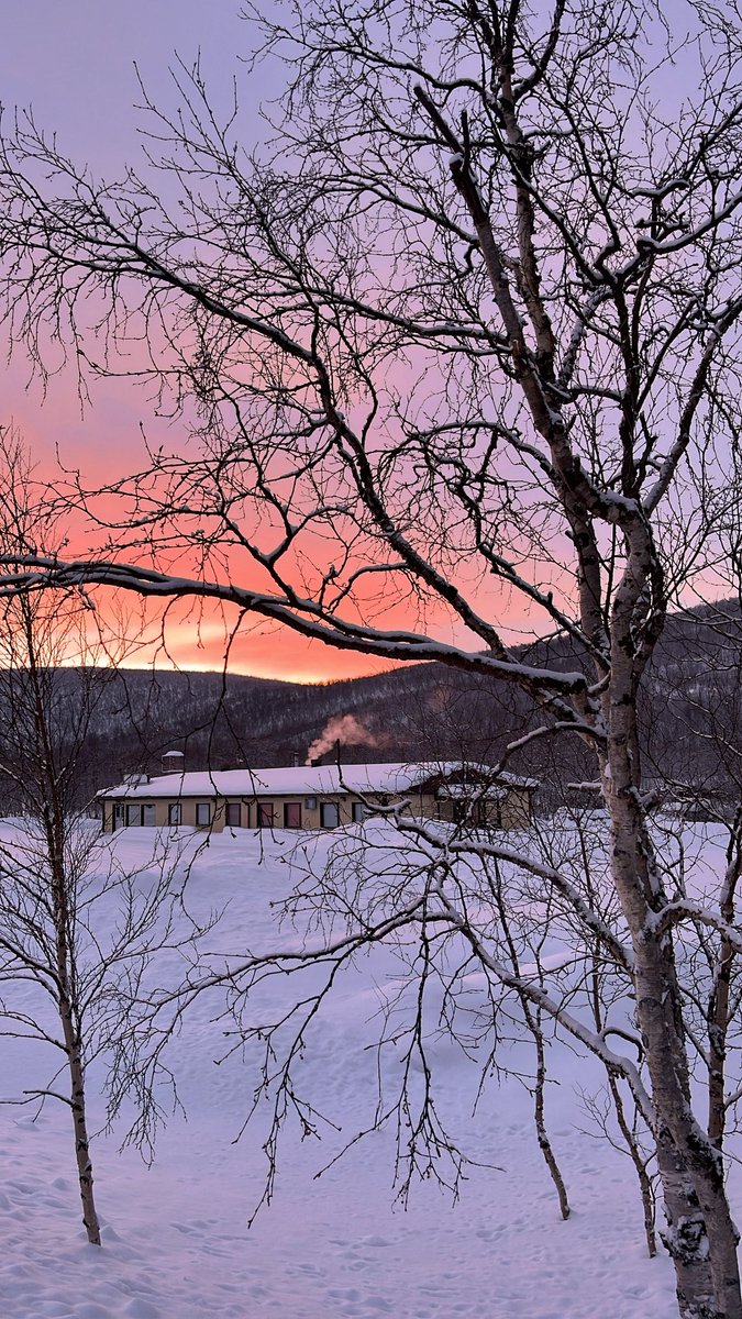 nina 🌞 tweet media