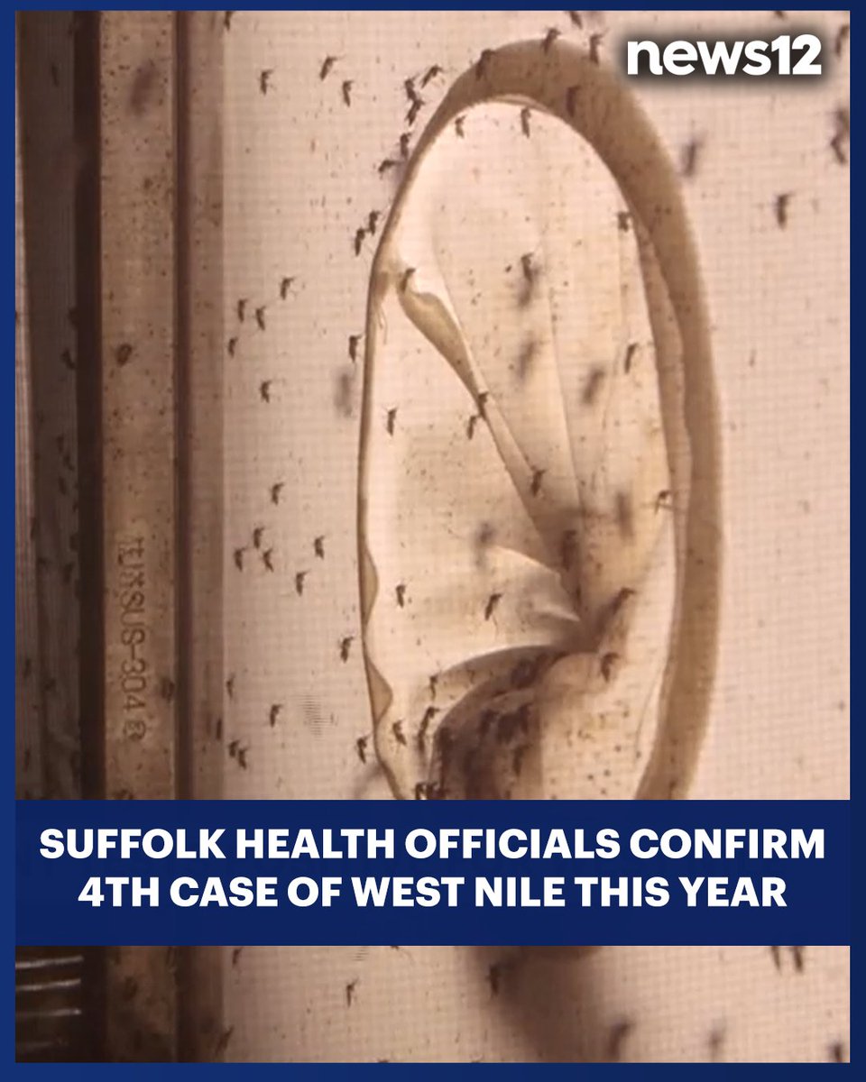 News12LI's tweet photo. WEST NILE FOUND: An #Islip town resident has tested positive for West Nile virus. - https://t.co/HWX8CKA3vH https://t.co/16AQwGcAZ5