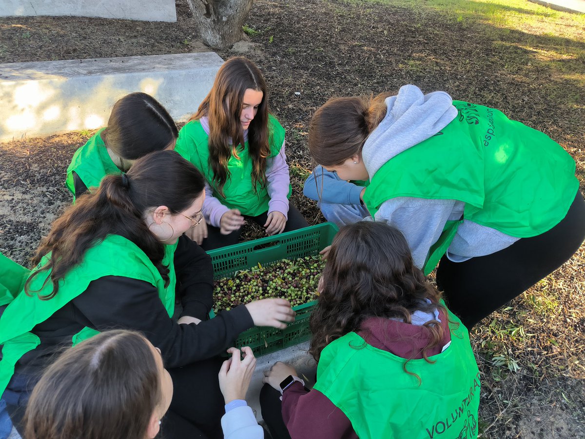 Institut Ramon de la Torre tweet media
