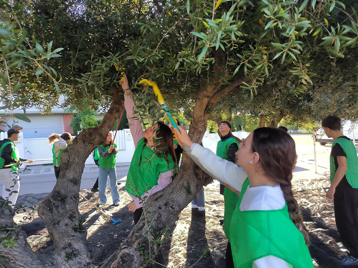 Institut Ramon de la Torre tweet media