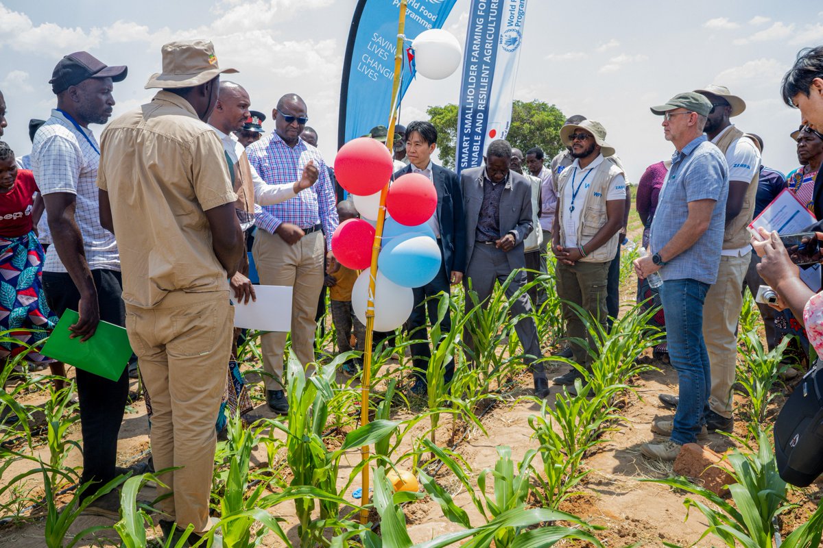 WFP_Zambia's tweet photo. WFP, in partnership with @japan & @ZambiaMinistry, launched #CropScope in📍Monze!
🚀 Powered by satellite AI, the platform delivers real-time data on soil moisture & crop health, helping farmers boost yields & use water wisely.
#ClimateAction #FoodSecurity https://t.co/Sq1ByaJBVC