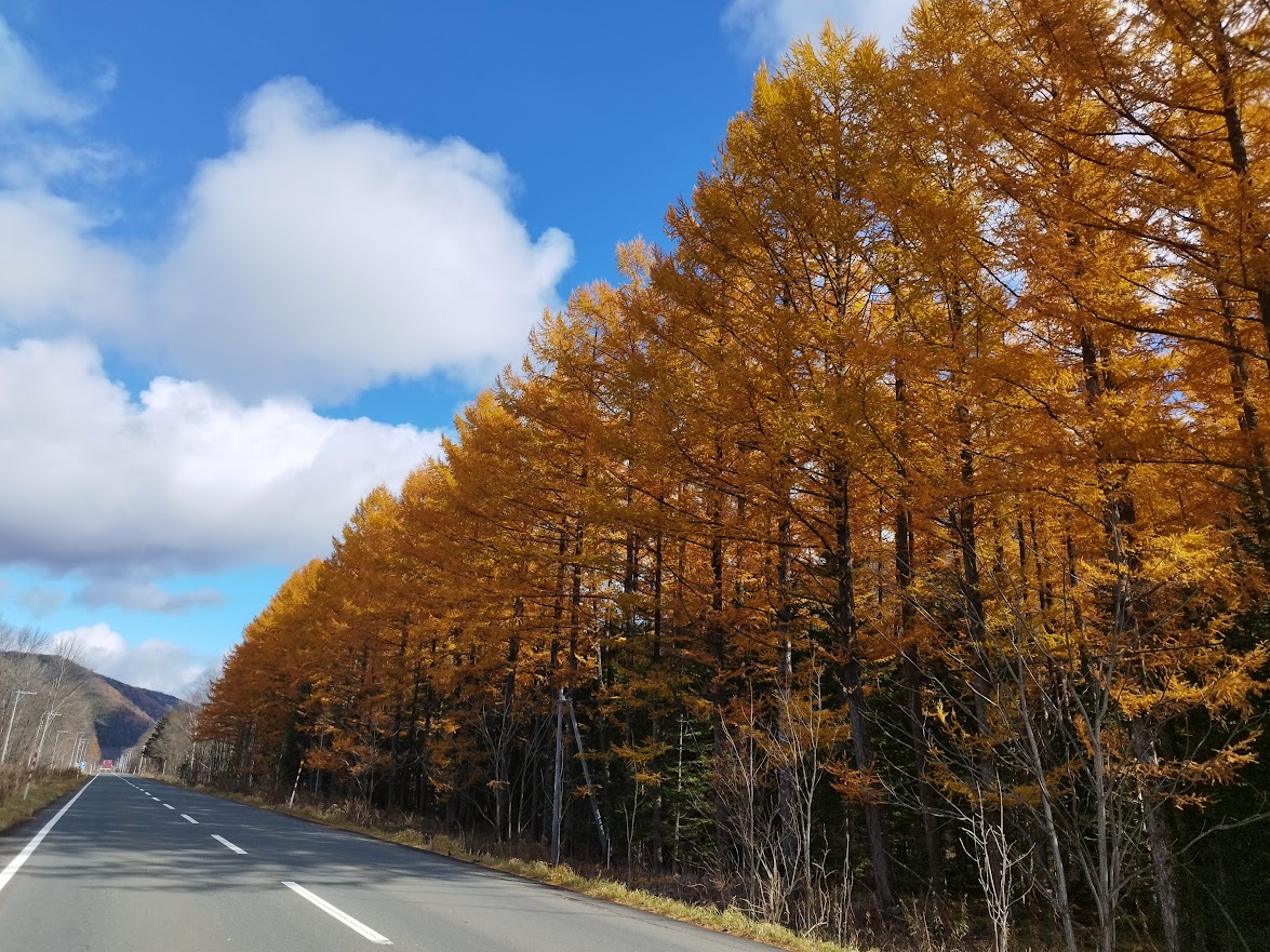 sakaphoto2's tweet photo. 北海道北見市にて 2025.11 https://t.co/wADKzwtBQh