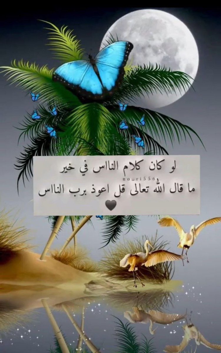 50__82 (@fati128ma) on Twitter photo 