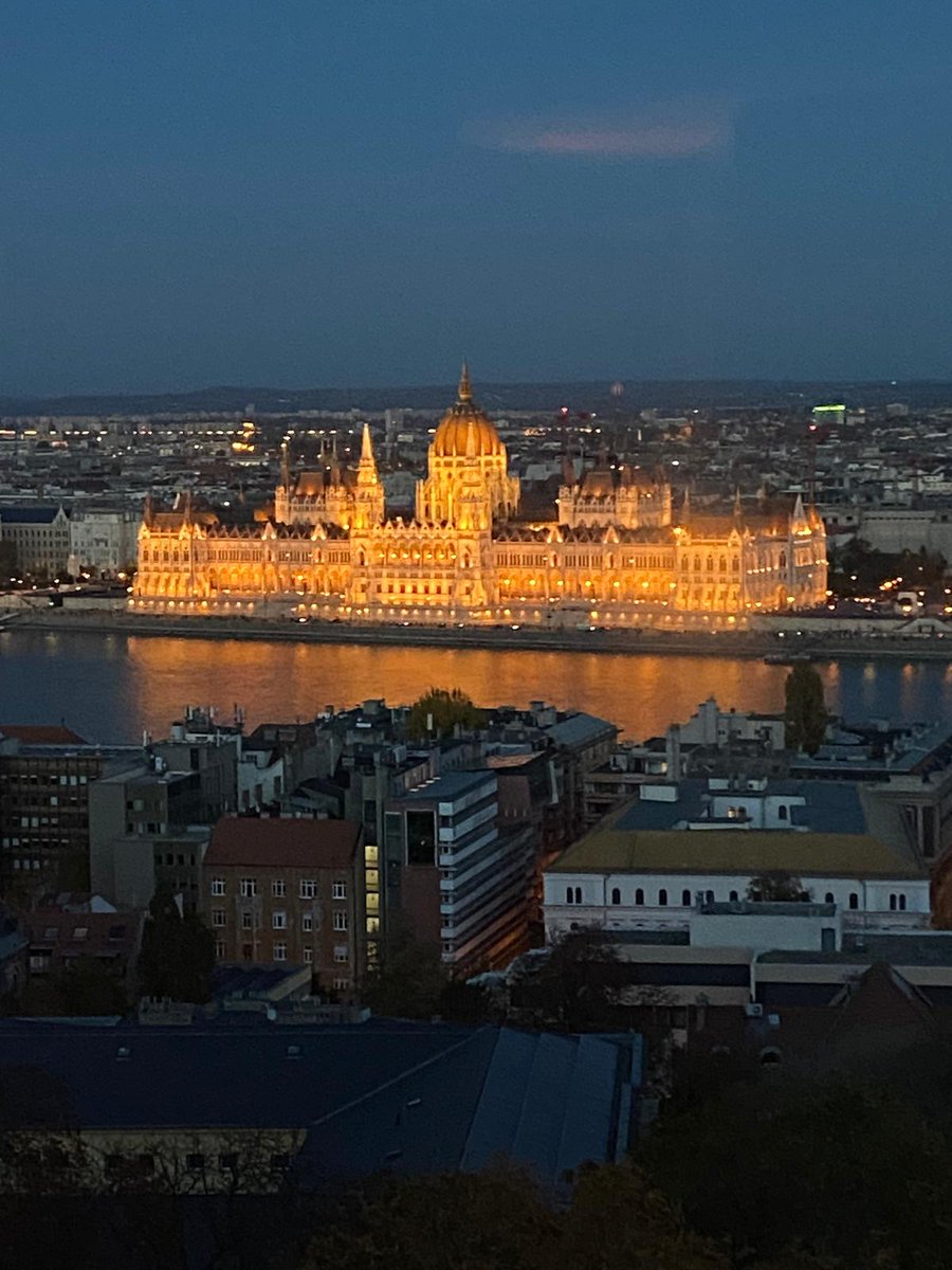 Back home in Blighty now after a lovely trip to Budapest. This was the amazing evening view from our hotel room.  The Danube with the Hungarian Parliament beautifully lit.