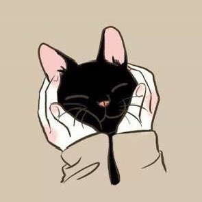 walpaperrr's tweet photo. #YeniProfilResmi https://t.co/XFUjg09OlZ