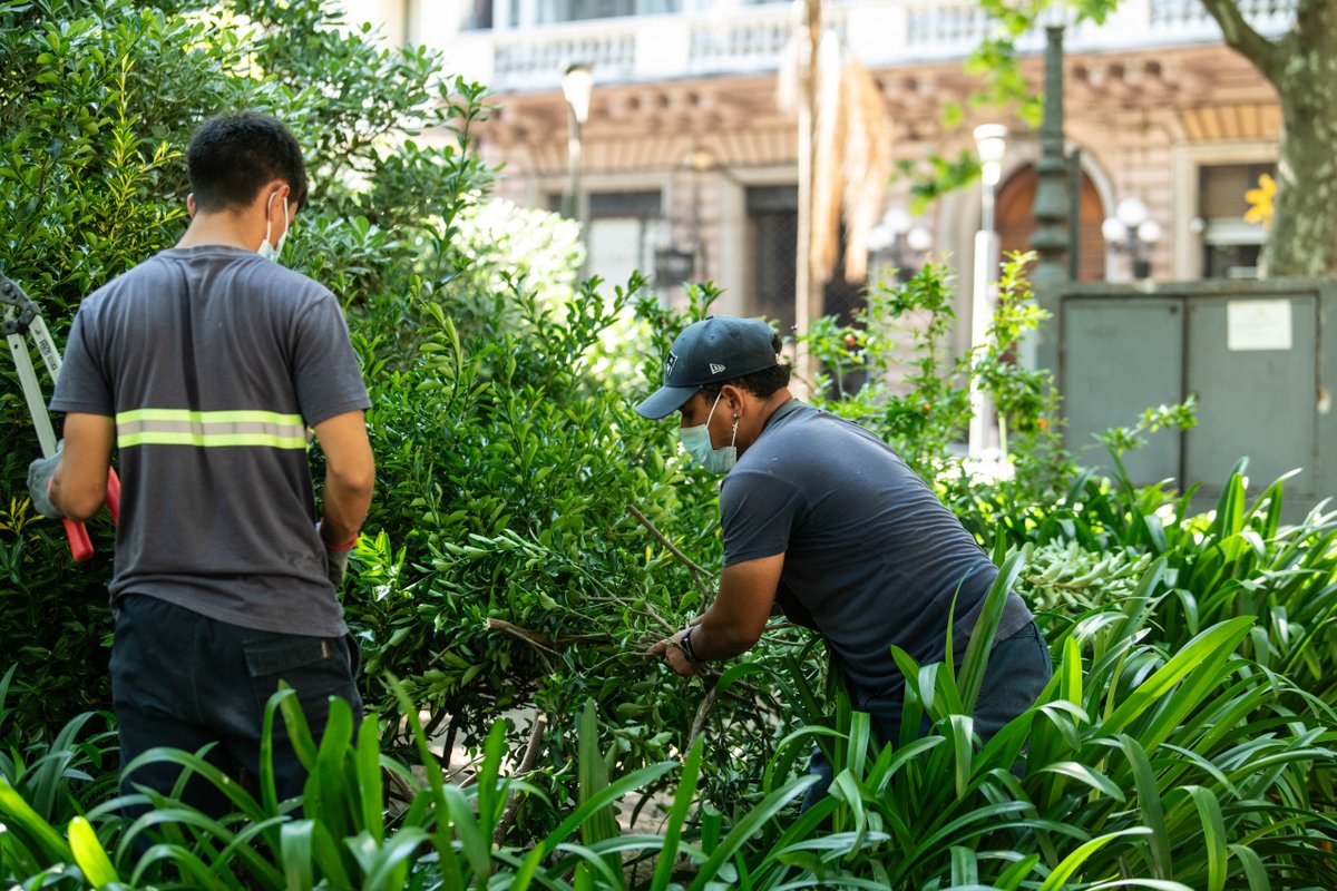 Intendencia de MVD tweet media