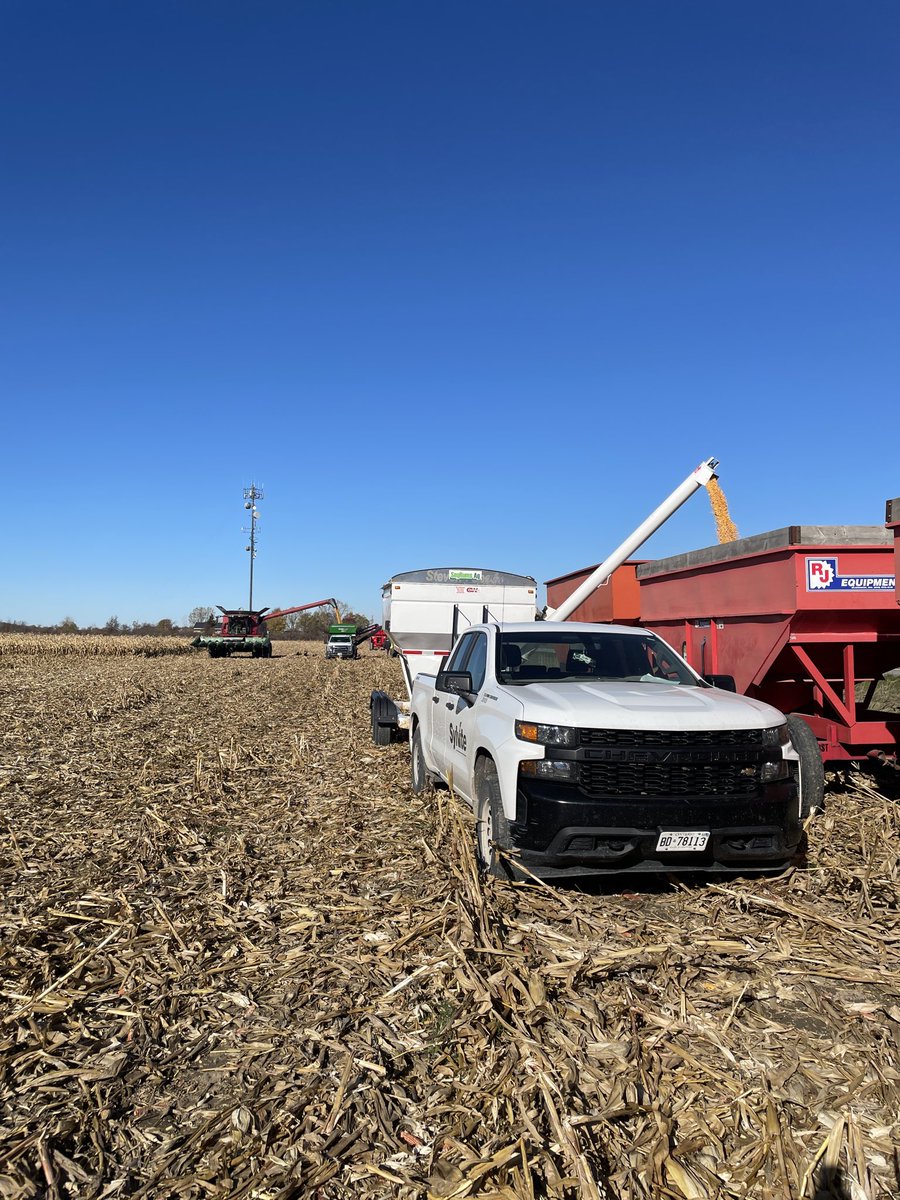 jer segeren tweet media