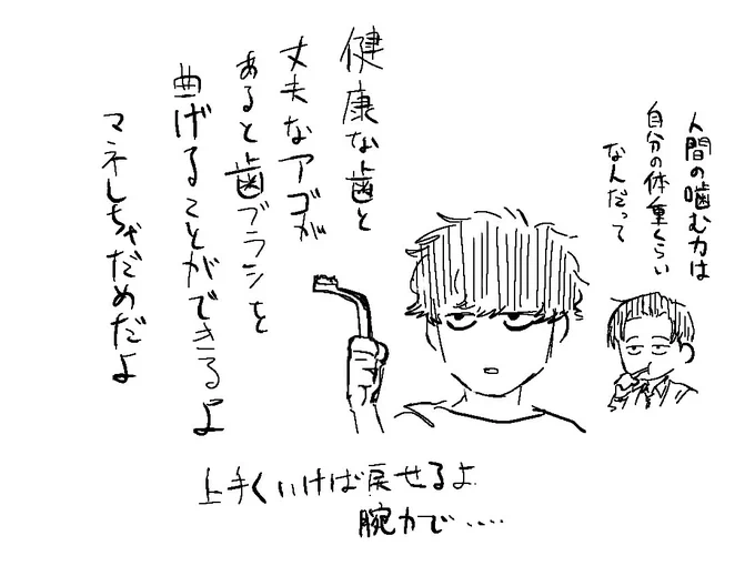 一過性の力みと頑丈な歯とアゴが必要です
歯ブラシは大事に使おう🪥 