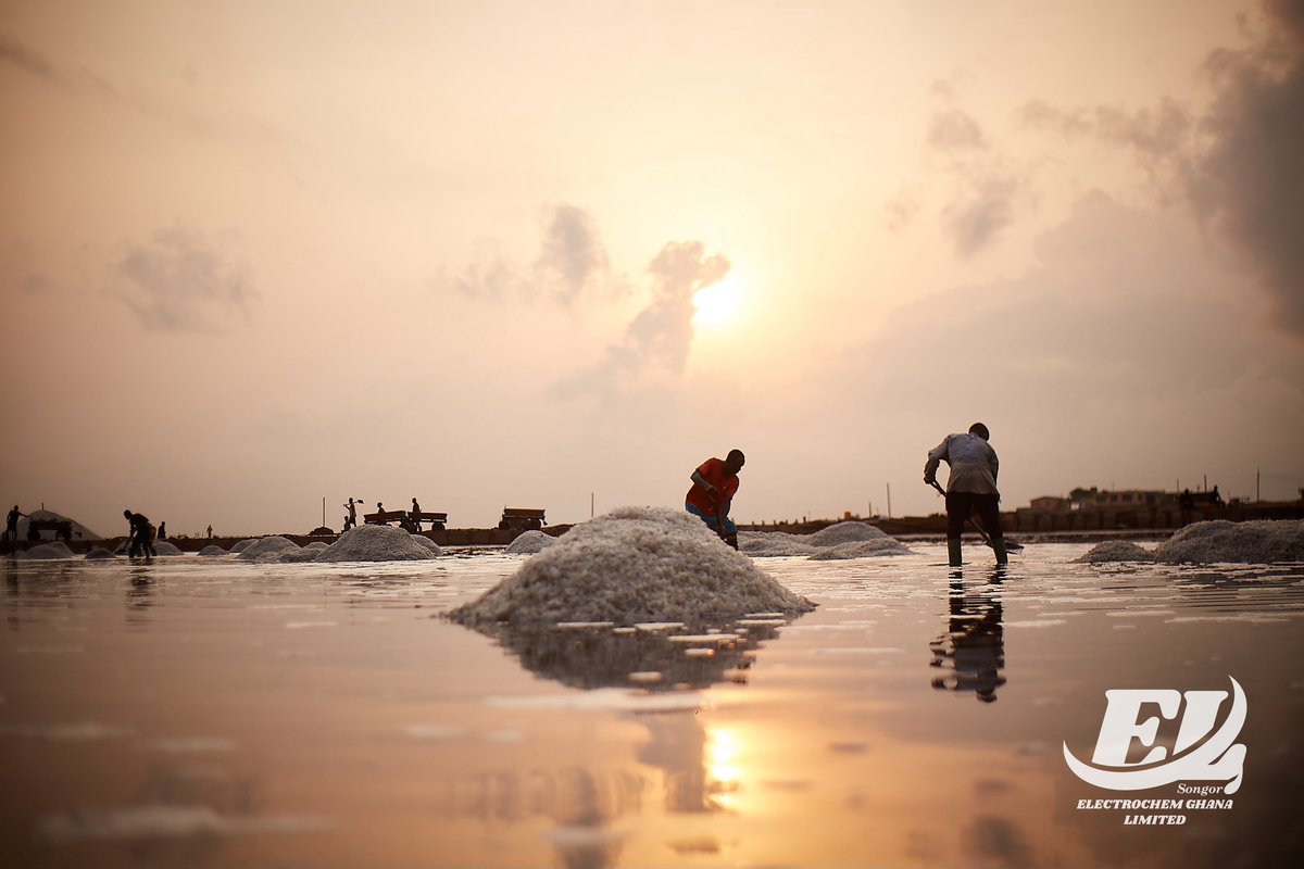 The sun is up, and so are we, working in the fields to bring you the purest salt, grain by grain.

From the first light of dawn, our team is on the ground, guided by nature and committed to excellence.

Here’s to a new week filled with hard work, purpose, and creativity!