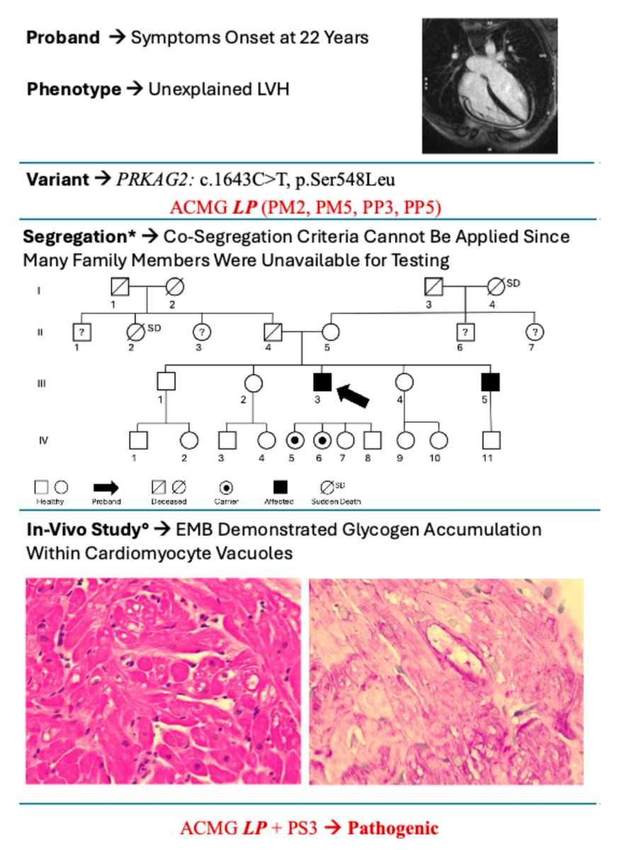Cardiogenetics MDPI tweet media