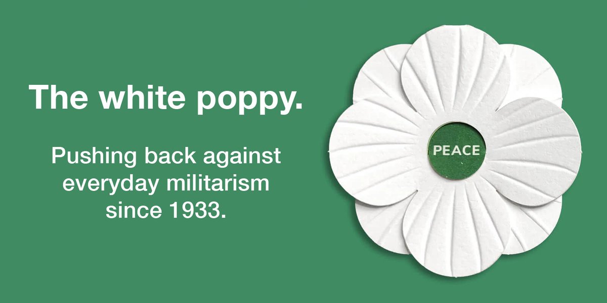 cartuja (@cartujakds) on Twitter photo 