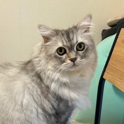 manami_cross's tweet photo. #新しいプロフィール画像 https://t.co/vdcQ0RpsFu