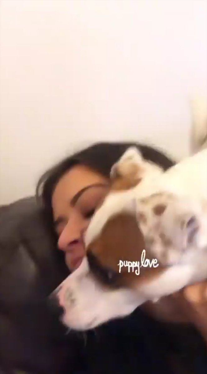 Addison Lorie tweet media