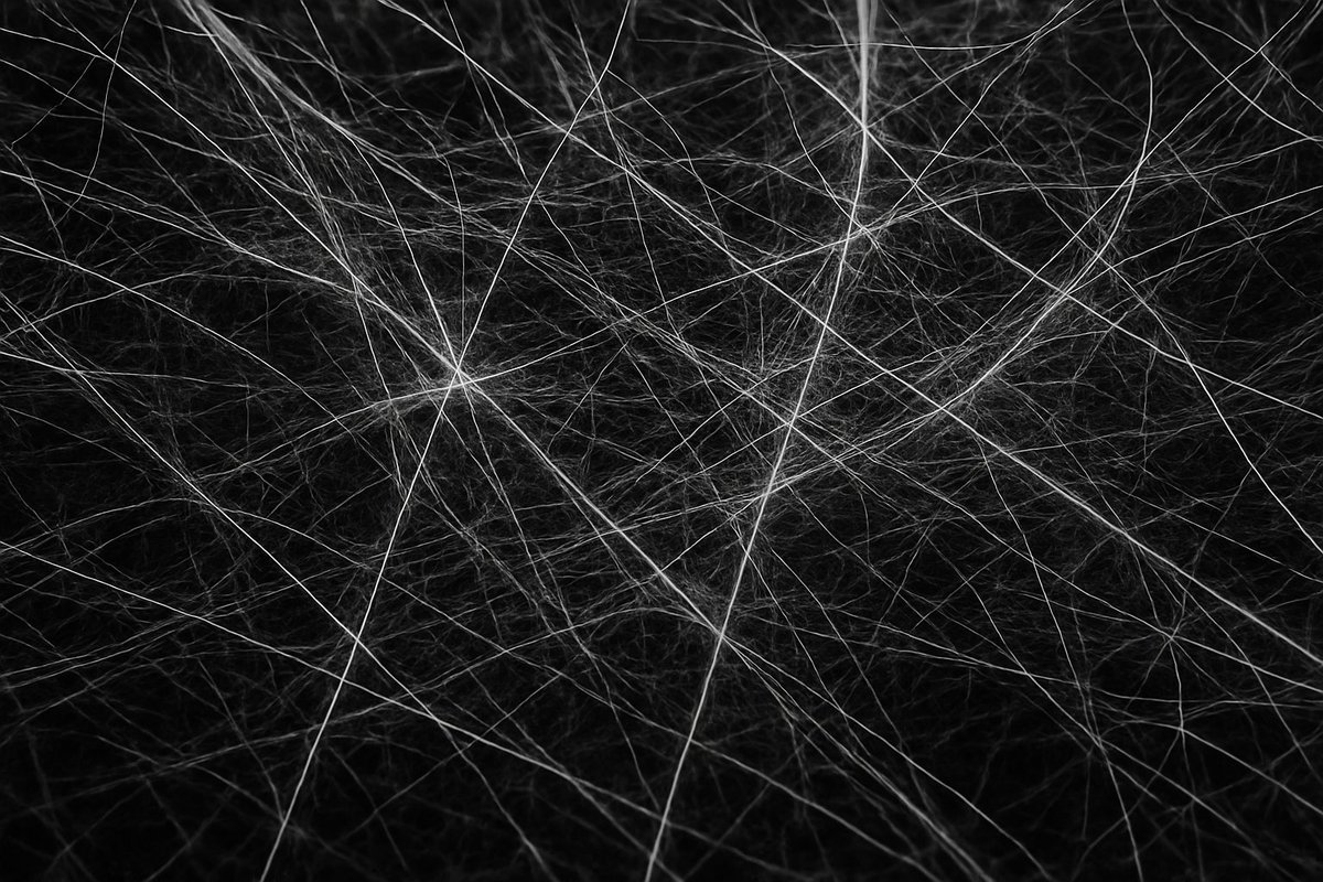 "It was a reasonable hypothesis that life was a thing. We thought, for instance, that heat was a thing: if you put a hot object next to a cold object, they equilibrate — they come to the same temperature. So people said, well, that's kind of like putting two vessels with a fluid