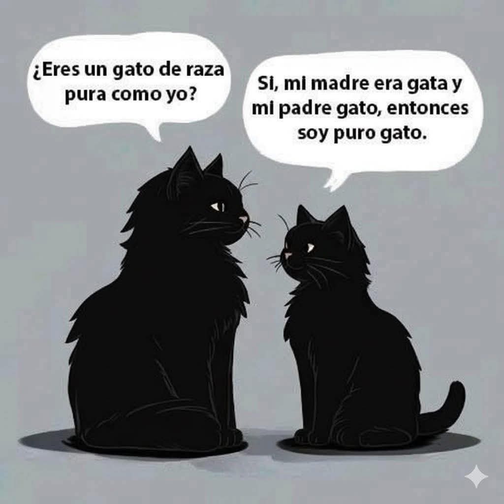 Soy Cɐlɐɯɐɹdo tweet media