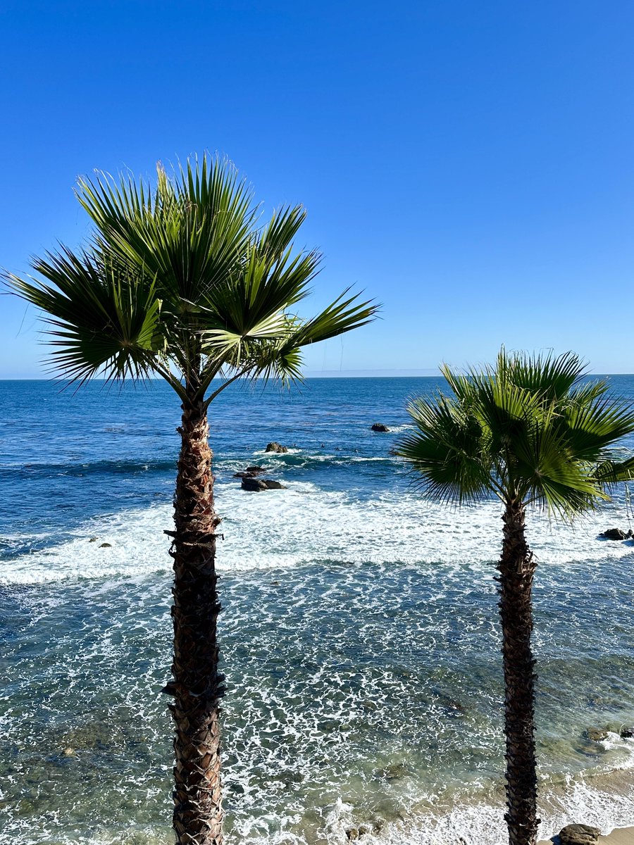 Fallingcherryb1's tweet image. I want to go on vacation