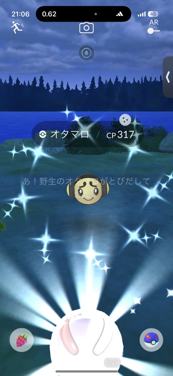 オタマロ ポケモン