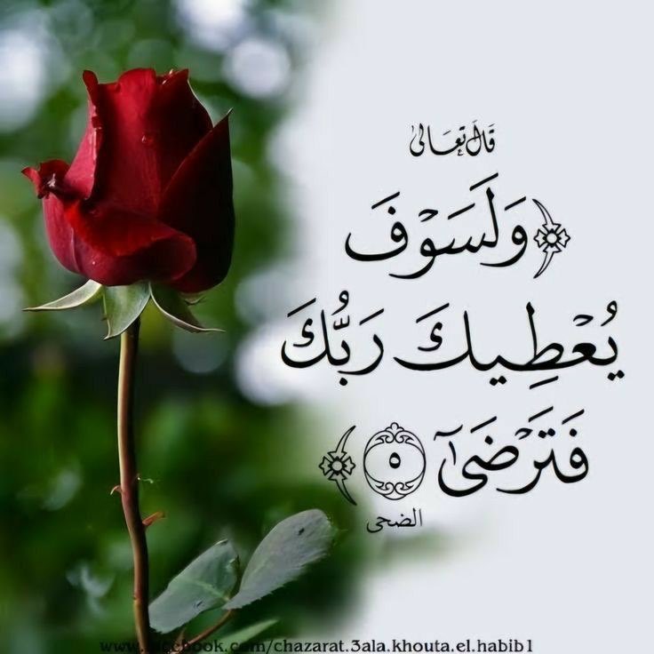 50__82 (@fati128ma) on Twitter photo 