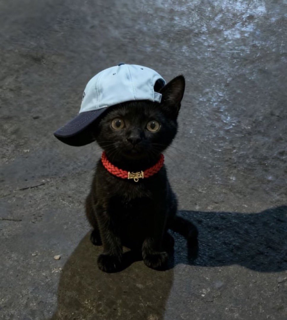 오늘일케생겻메