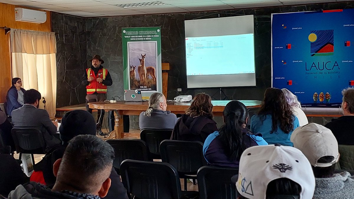 🦙✨️🌿Director regional #CONAFArica da inicio al Seminario Internacional sobre "Manejo y bienestar animal en la esquila de vicuñas dentro de reservas de Biósfera" que incluye un Chaku Ancestral en el altiplano de Putre. Participan expertos de Argentina, Bolivia, Perú y Chile.