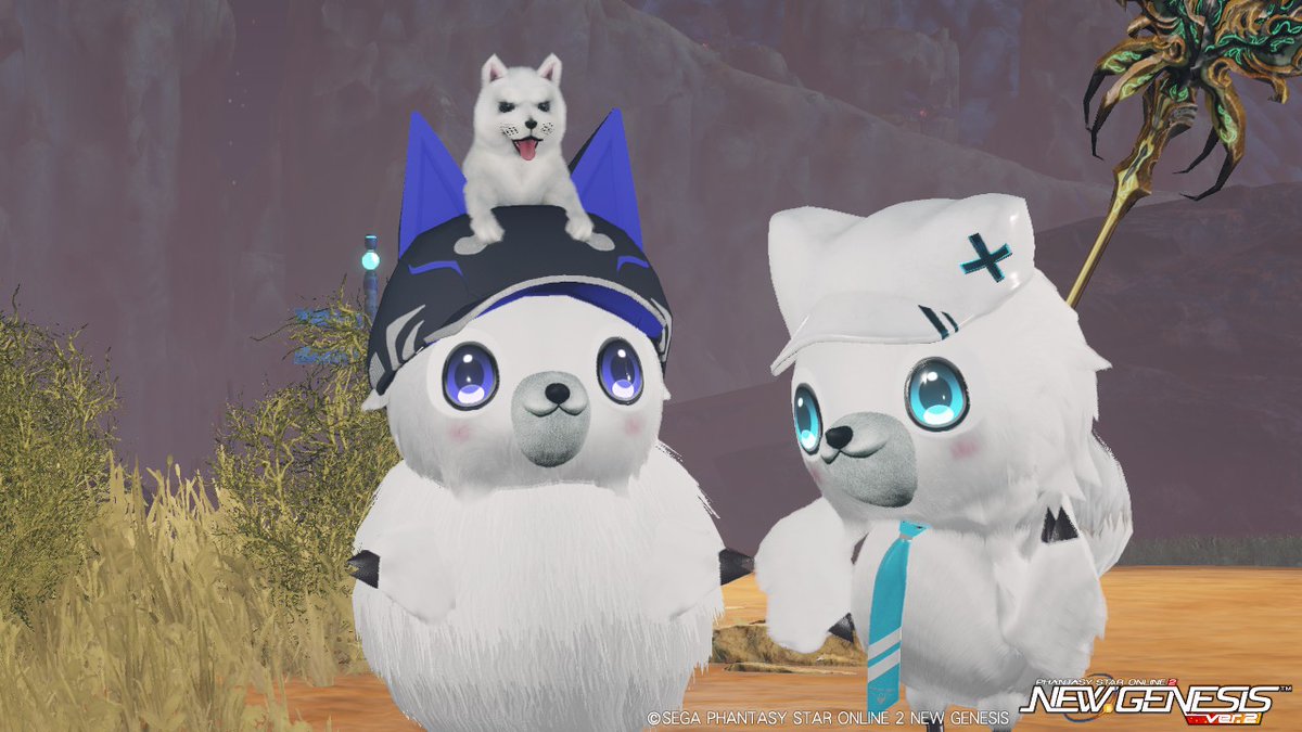 ひまり🐾ship7 (@1hRcRNXY7td3to3) / Posts / X