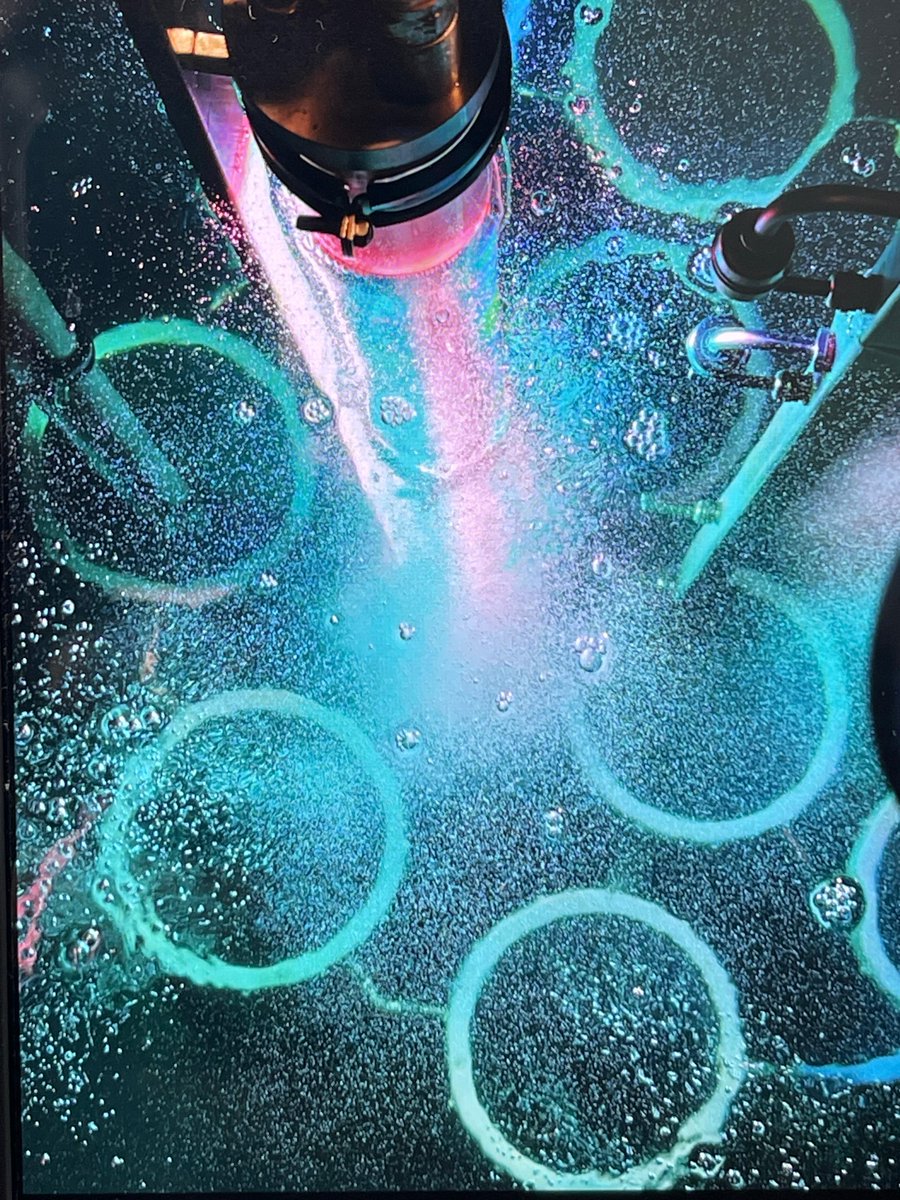 Fancy joining two labs at the University of Sheffield to convert sunlight into high value chemicals by engineering cyanobacteria? #PhD #biotech  CASE PhD studentship opportunity in Sunny Sheff...shorturl.at/ye9No