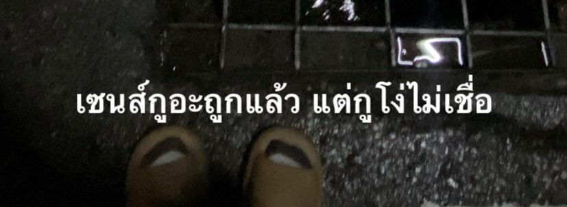 ชีสืบ ชีรู้ ชีโคม่า :