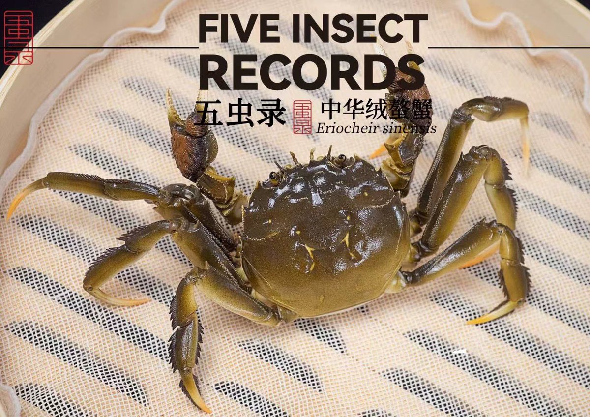 上海蟹は彩色版も買えるらしいカニ🦀